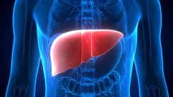 Could Plastic Particles in Food and Beverages Harm Your Liver?