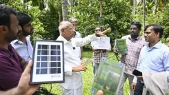 How are Coconut Farmers in Pollachi Adapting to Root Wilt Disease?