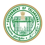 Has Telangana Announced Pre-Primary Sections in Government Schools?