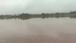How Did Three Siblings Drown While Bathing in a Pond in MP?