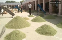Are Tier 2 and 3 Indian Cities Becoming Economic Growth Engines?