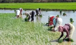 Can CM Stalin Ensure the Release of Pending Cauvery Water from Karnataka?