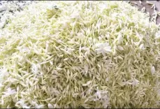 Is Tamil Nadu Securing GI Tags for Five Indigenous Farm Products?