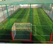 Is TN Setting Up Futsal and Box Cricket Turfs to Enhance Grassroots Sports?