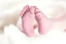 How Did a Toddler Fall from the 12th-Floor Balcony in Maharashtra's Palghar?