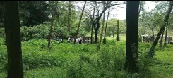 What Was Discovered at the 1st Burial Site in Dharmasthala?