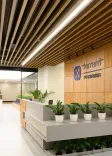 Did Torrent Pharma's Q4 net profit decline to Rs 498 crore despite revenue growth?