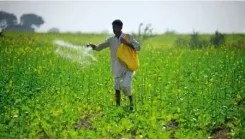 Has the Total Area Sown Under Kharif Crops Exceeded 89 Lakh Hectares?