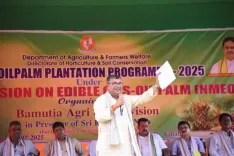 Has Tripura Achieved Over 50% of Its Target for Oil Palm Cultivation?