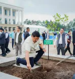 How Many Saplings Have Been Planted in Meghalaya in the Last Five Years?