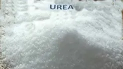 Is the Urea Fertiliser Shortage Causing Unrest Among Farmers? Siddaramaiah Calls on Union Minister Nadda to Accelerate Supply