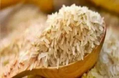 Will India's Gulf-bound rice exports resume after the ceasefire?