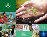 Has WHO Recognized India’s Integration of AI in Traditional Medicine?