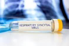 Is the WHO Advocating for Maternal Vaccines and Monoclonal Antibodies to Shield Babies from RSV?
