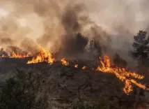 Will Wildfire Activity Rise in Canada?