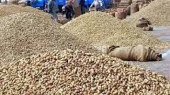 Will the Centre Ensure Edible Oil Price Cuts Reach Consumers?