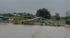 क्या यमुना में जलस्तर बढ़ने वाला है? डूब क्षेत्र में रहने वाले लोग और पशु सुरक्षित स्थानों पर पहुँचें: जिलाधिकारी