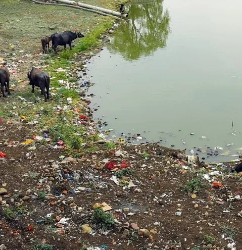 Why Did TN Coastal Authority Fine NHAI for Dumping in Odiyur Lagoon?