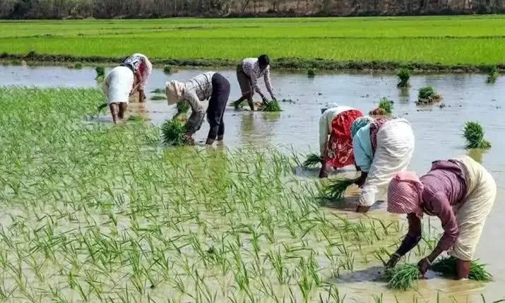 Can CM Stalin Ensure the Release of Pending Cauvery Water from Karnataka?