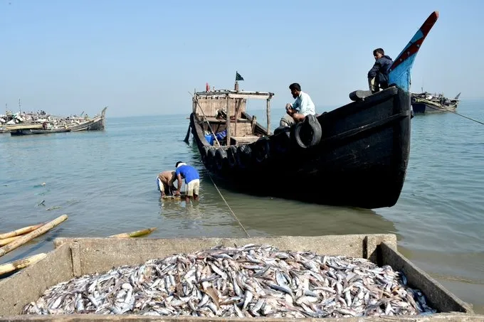 How is the TN Fisheries Dept Enhancing Coastal Patrols to Combat Illegal Fishing During the 61-Day Ban?