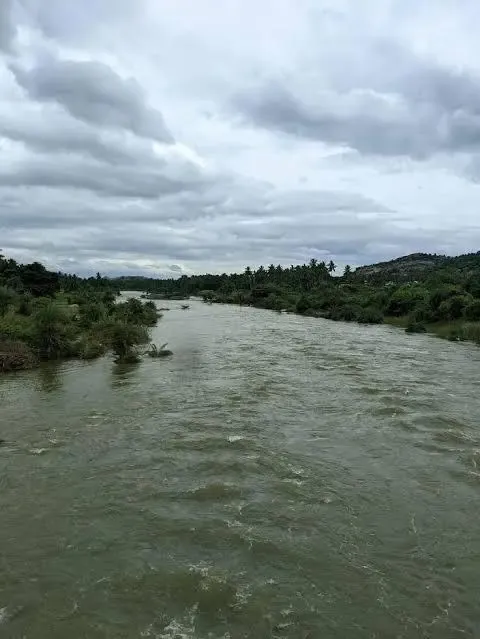 Is Karnataka Responsible for the Pollution of the Thenpennai River?