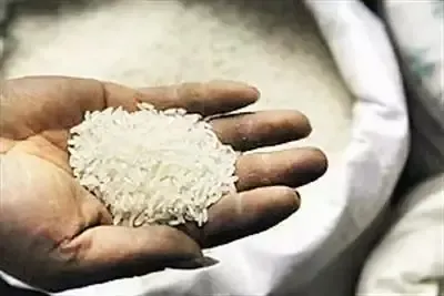 Tamil Nadu Government Amplifies Efforts Against PDS Rice Smuggling