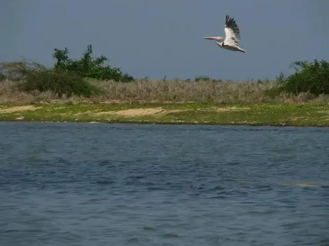 Will the TN government renovate the historic Ponneri Lake to boost tourism?