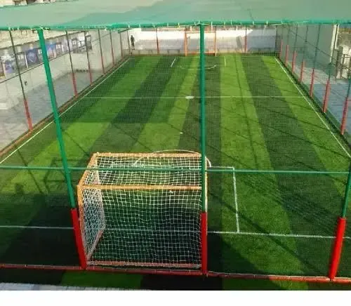 Is TN Setting Up Futsal and Box Cricket Turfs to Enhance Grassroots Sports?