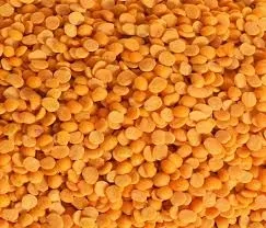 Tur Procurement at MSP Gains Momentum Across States, Benefits Over 2.56 Lakh Farmers