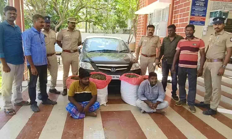Two Arrested with 102 kg of Ganja in TN Drug Bust