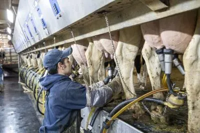 California Expands Recall of Raw Milk After Detection of Bird Flu Virus