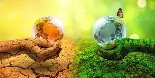 How Are Villages in Haryana Shaping Climate Strategy?