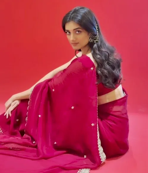 Did Bhagyashrii Borse Imagine Her Acting Dreams Through Songs?